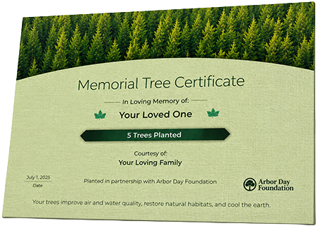 Plant Trees in Memory of Aubrey Carolene Halsey Brown